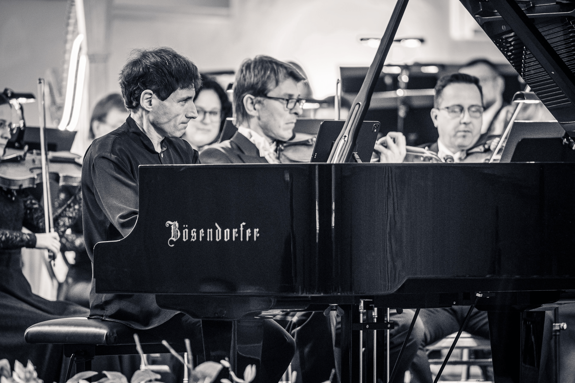 Amerika ve valtické jízdárně